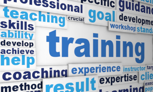 Training Needs Analysis Development